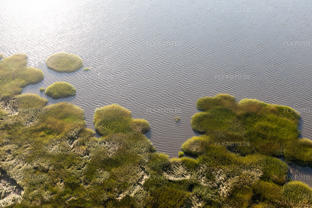 Luftbild: Nationalpark Wattenmeer in Fanø im Bundesland Syddanmark in Dänemark. Foto: IMG_118836.jpg vom 21.09.2019 durch Werner Riehm/FLY-FOTO.de