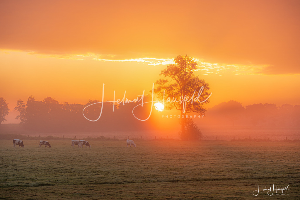 DSC00460 | Landschaftsfotografie, Naturfotografie - Realisiert mit Pictrs.com