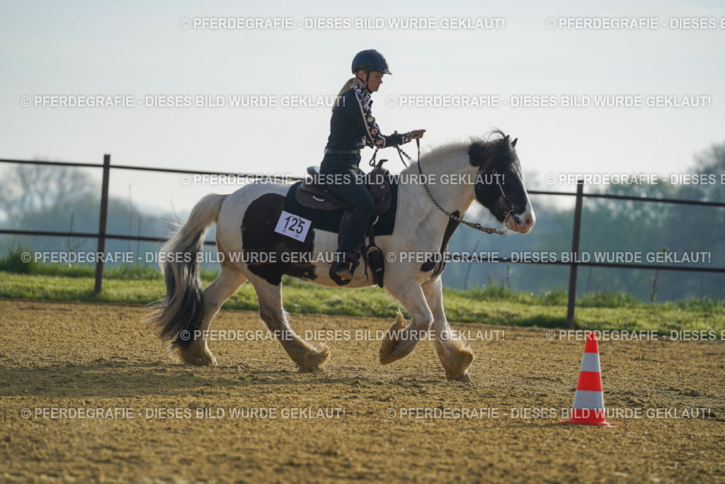 DSC00195 | Pferdegrafie