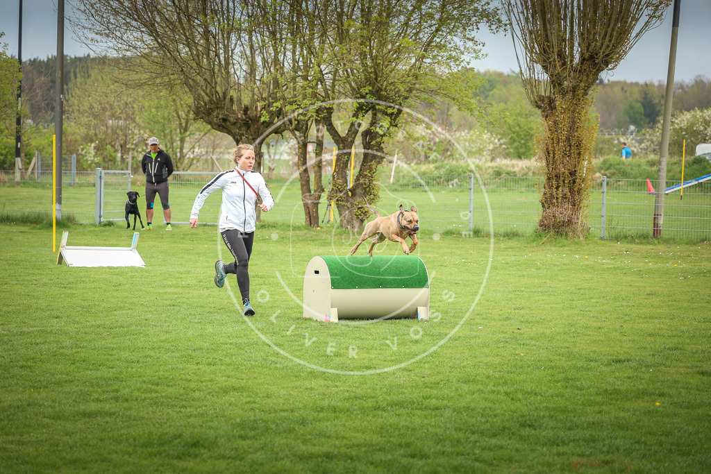 Pfotenfotografie_0L8A9481 | Hundefotografie, Tierfotograf, Pfotenfotografie, Fotoshooting Hund, Hunde Portrait, Hundesport, Hundeportraits, Heideshooting, Hunde, Sportfotograf, Hundefotograf, Turnierhundsport, THS,  - Realisiert mit Pictrs.com