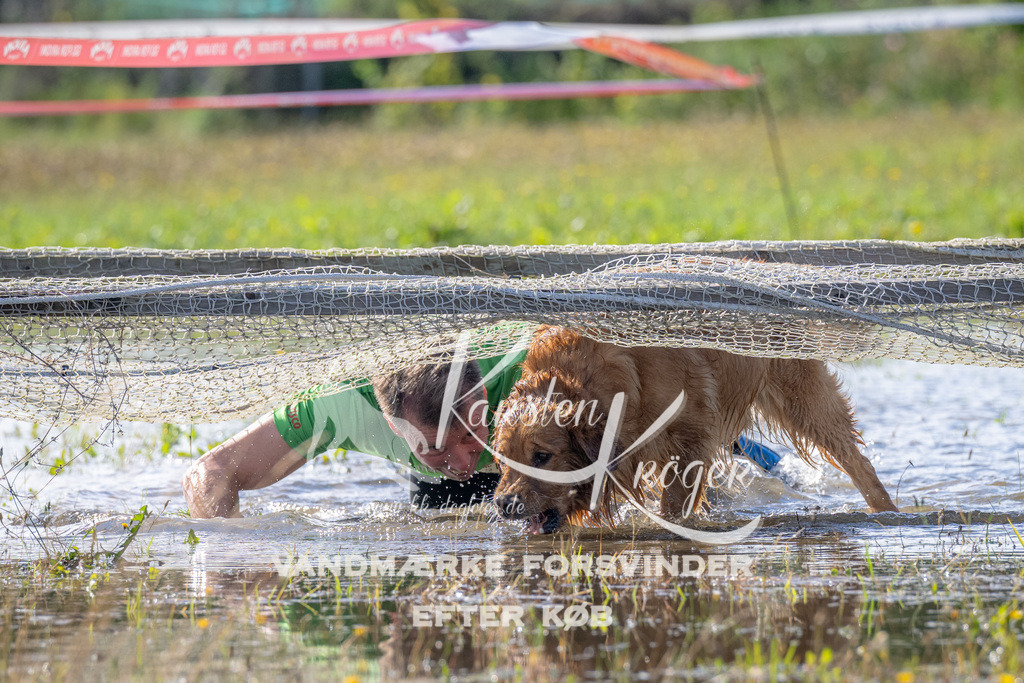 1034_ZZ90791 | kk-dogfotos