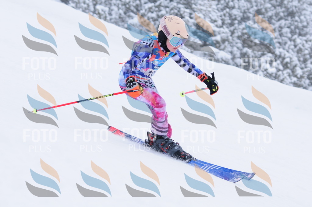 C1808 | holidayphoto