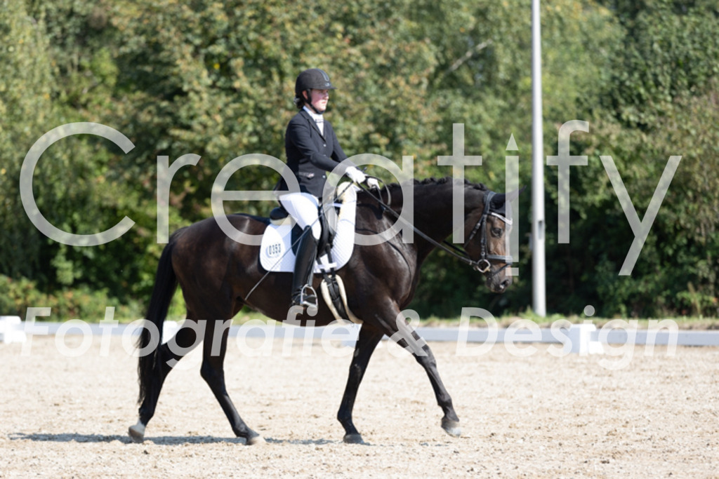 IMG_4004 | Creatify Fotografie