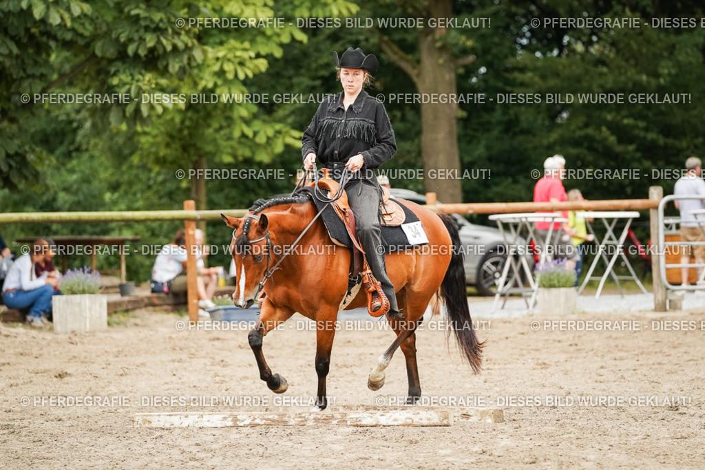 DSC08263 | Pferdegrafie