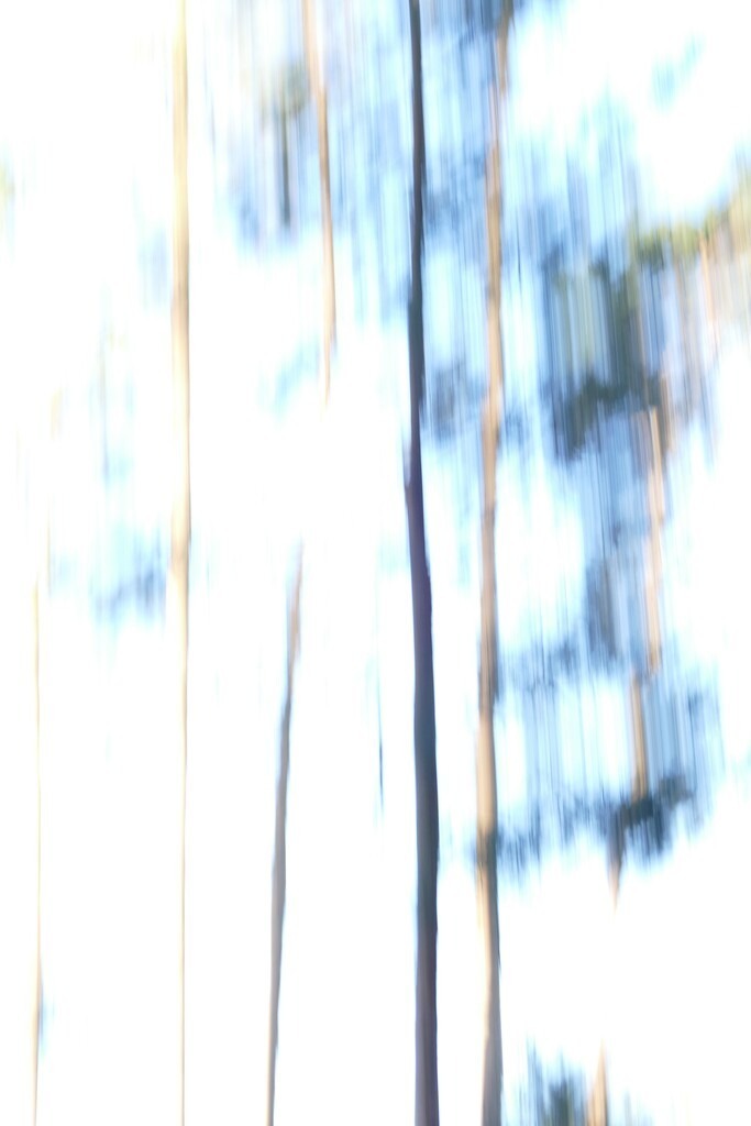 P4050789_a | Annaeherungen - Realisiert mit Pictrs.com