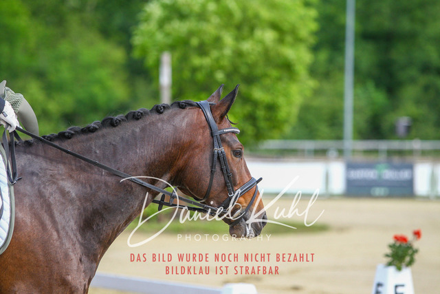 DKP45682 | Turniersportfotografie; Pferdefotografie; Dressurfotografie