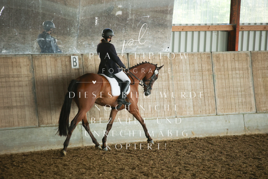 IMGM2621 | pl-fotografie