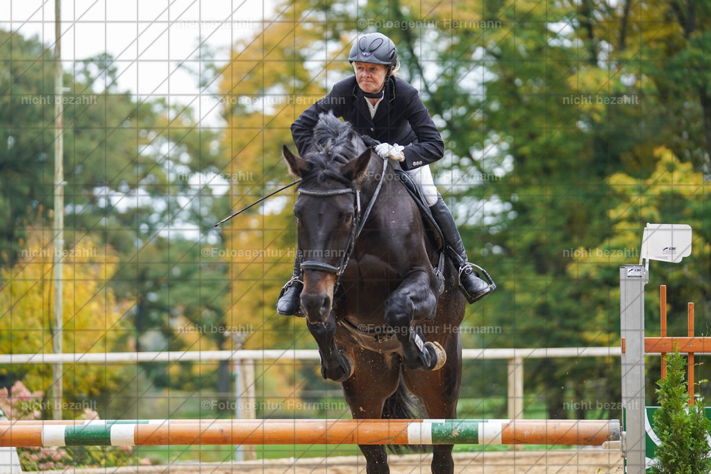 20221009-FAH08893 | Diessen am Ammersee, 2022, Dressur- und Springturnier, Reitsportbilder, Turnierfotografen Bayern, Pferdefotografen, Fotoagentur Herrmann, Turnierbilder