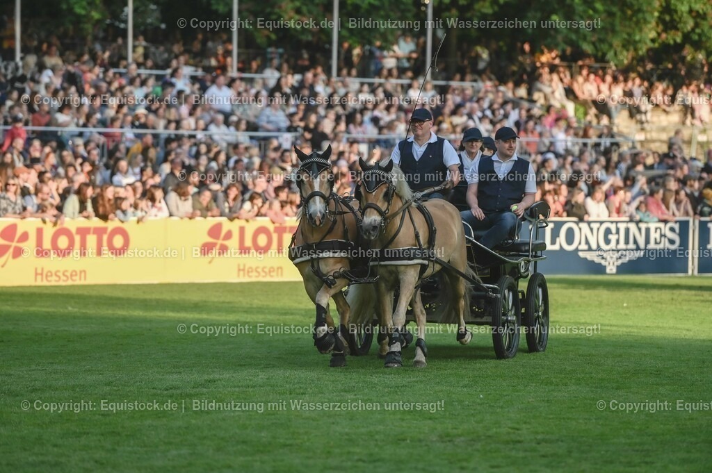 20230526_Pferdenacht_0175 | equistock