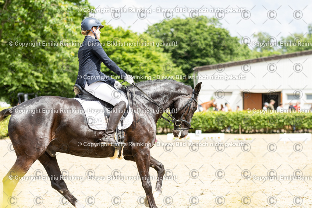 CL5A2153 | Emilia Reinking Fotografie - Realisiert mit Pictrs.com