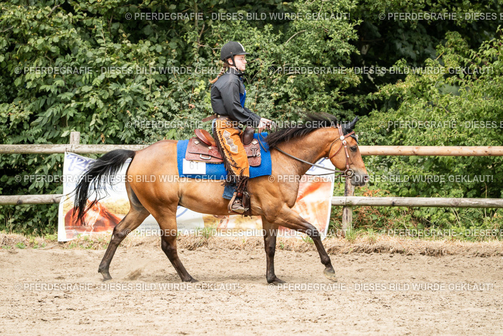 DSC01677 | Pferdegrafie