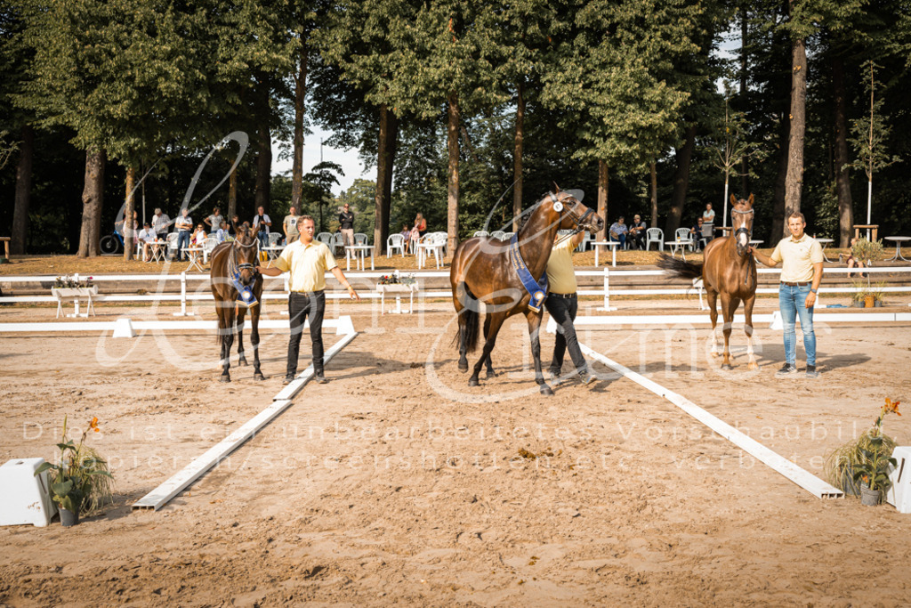 FrER00290 | Leoni Ertmer Photography - Realisiert mit Pictrs.com