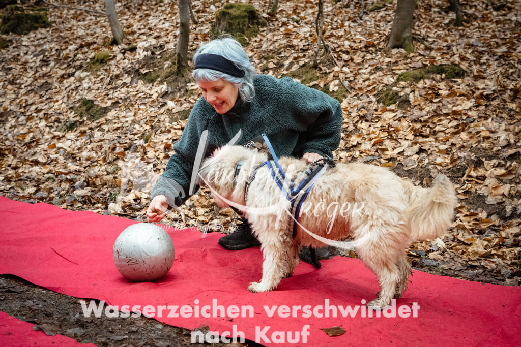 1136_ZZ90892 | kk-dogfotos