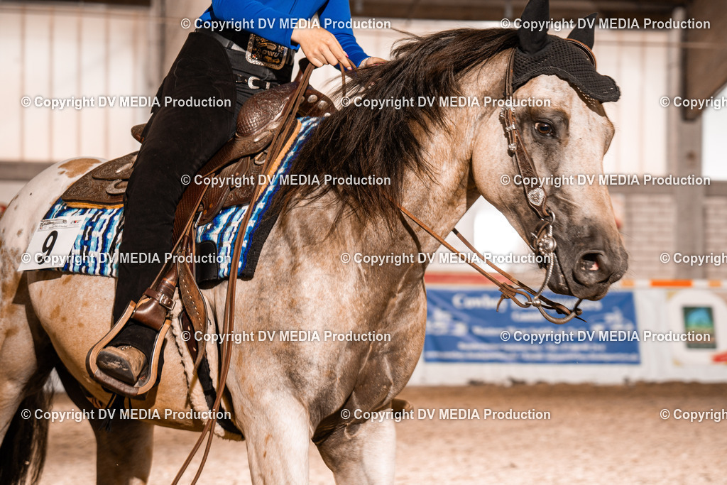 ZH200321 | dv-media-shop - Realisiert mit Pictrs.com