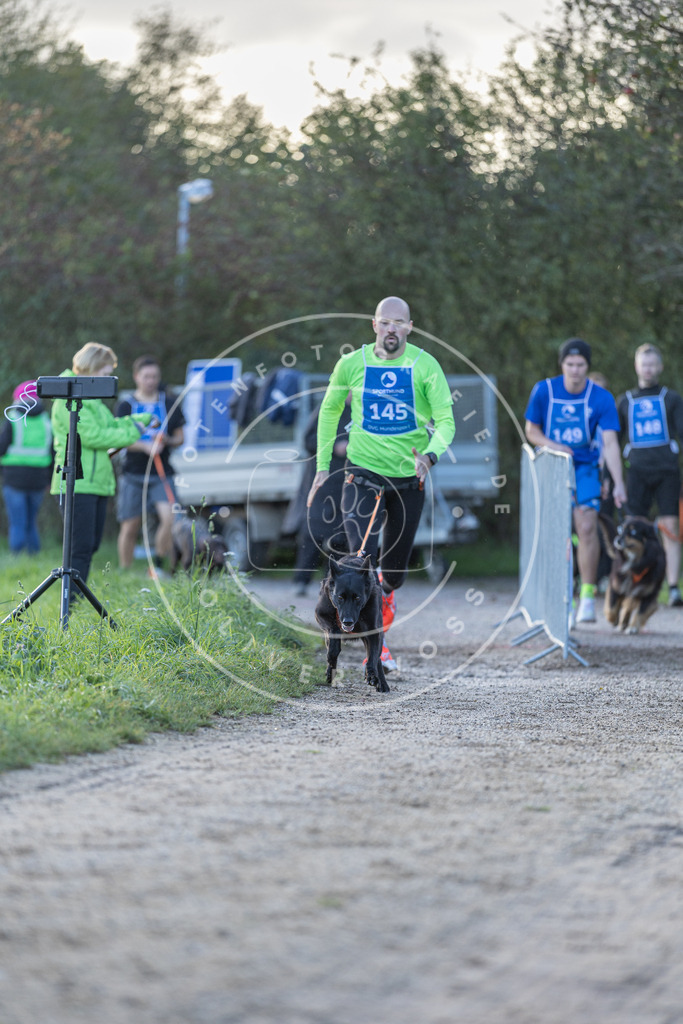 Pfotenfotografie.de_DV3A2774 | Hundefotografie, Tierfotograf, Pfotenfotografie, Fotoshooting Hund, Hunde Portrait, Hundesport, Hundeportraits, Heideshooting, Hunde, Sportfotograf, Hundefotograf, Turnierhundsport, THS, canicross - Realisiert mit Pictrs.com