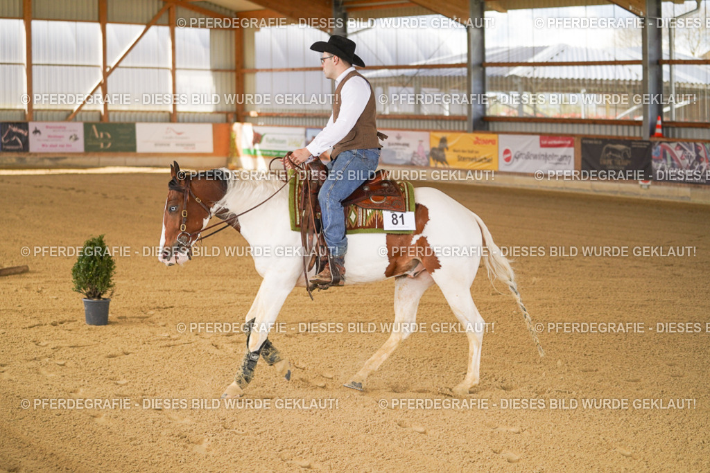 DSC06785 | Pferdegrafie