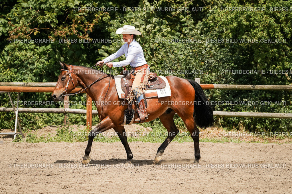 DSC09696 | Pferdegrafie