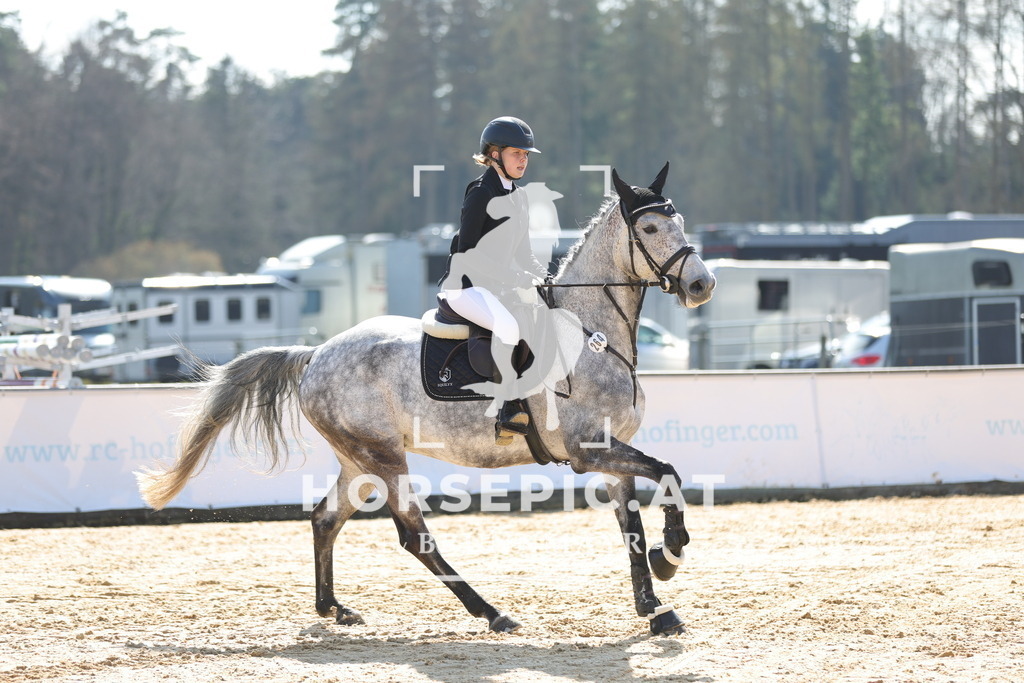 0P6A6821 | Willkommen bei Brunnmayr - Design & Fotografie – Ihrem Spezialisten für Reitturniere und Pferdeveranstaltungen in Oberösterreich, Salzburg und Bayern! Seit über 17 Jahren sind wir leidenschaftlich dabei.