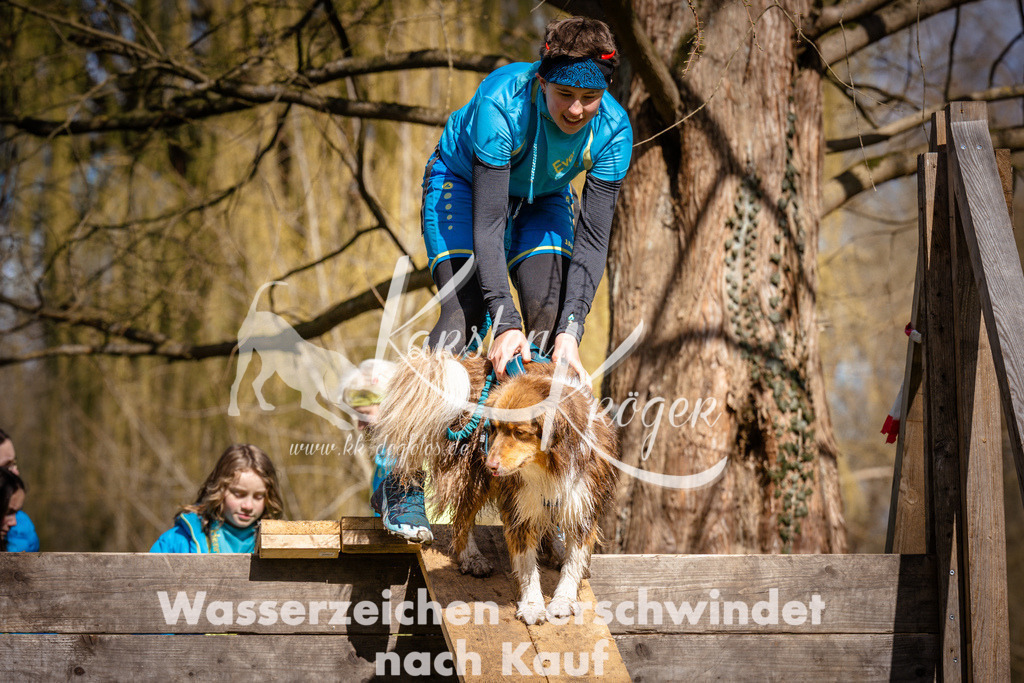1038_ZZ98264 | kk-dogfotos