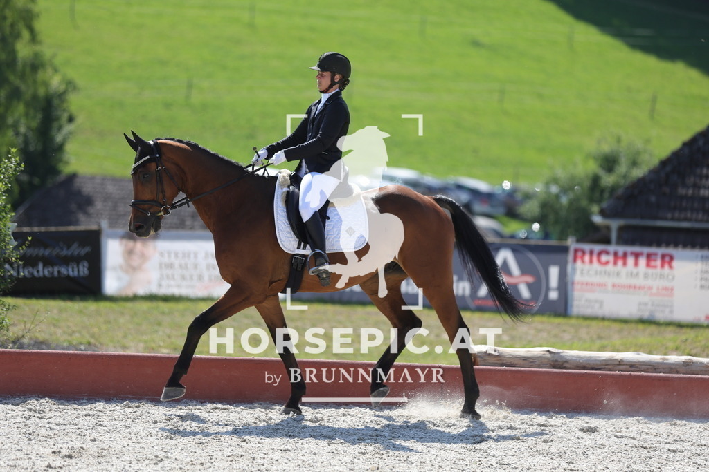 0P6A7847 | Willkommen bei Brunnmayr - Design & Fotografie – Ihrem Spezialisten für Reitturniere und Pferdeveranstaltungen in Oberösterreich, Salzburg und Bayern! Seit über 17 Jahren sind wir leidenschaftlich dabei.