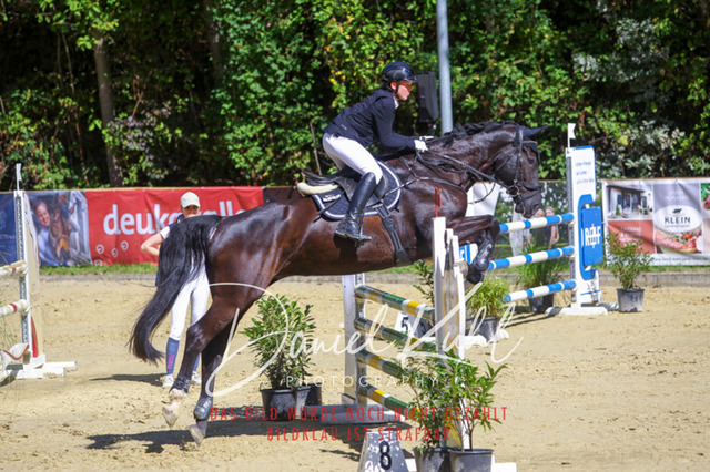 DKP43168 | Deine Turnierfotos vom Reitturnier online kaufen: Dressur, Springen & Siegerehrung. Professionelle Pferdefotografie aus dem Rheinland – als Download & Print.Alternative: Turnierfotograf für den Pferdesport: Finde deine Fotos von Dressur- und Springturnier