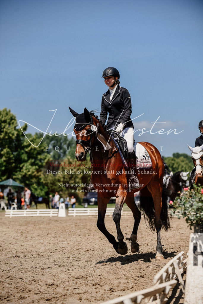DSC_2064 | Pferde- und Turnierfotografie in Westsachsen. Pferdeportraits, Auftragszeichnungen und intuitive Kunst.