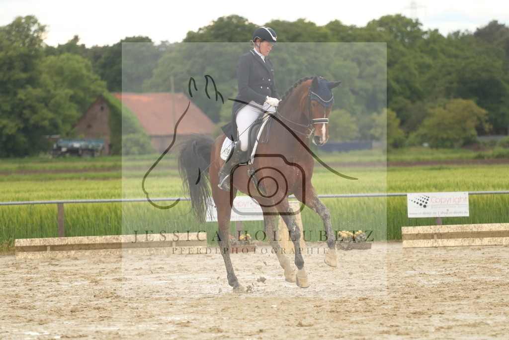 IMG_1300 | jessicahollubetz_pferdephotographie - Realisiert mit Pictrs.com