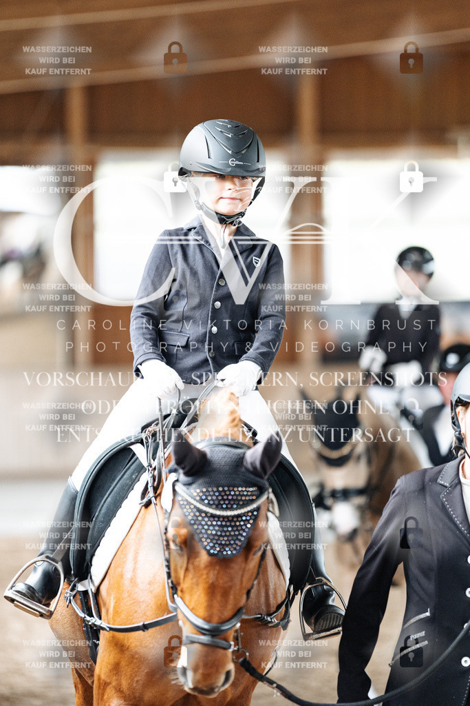CK901893 | Turnierfotografie Pferdefotografie Trier Rheinland-Pfalz Pferdesport Reitsport Tierfotografie Sportfotografie Pferdevideo Pferdevideografie Equestrianvideography equestrianphotography  - Realized with Pictrs.com