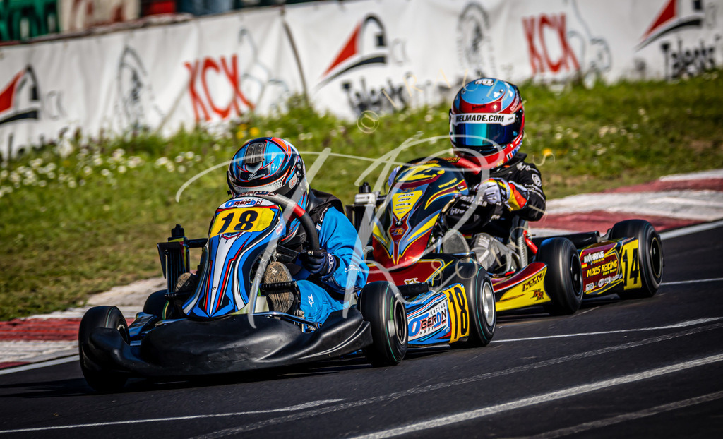 FF28D707-DC42-45ED-9061-C7219FB59778 | traudl_s_fotos