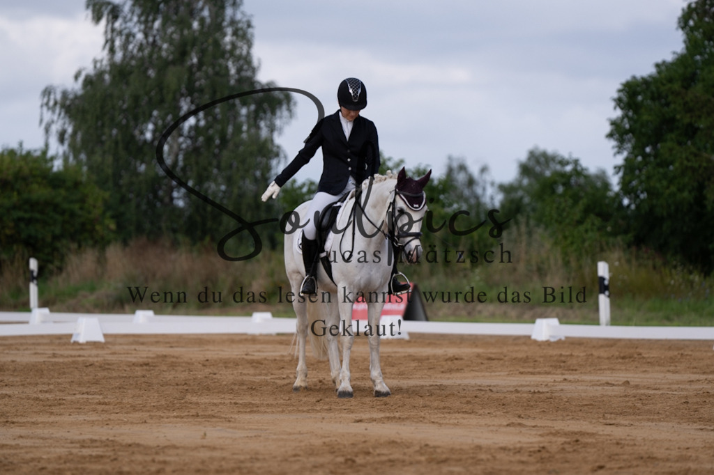 A7V05172 | Pferdefotograf