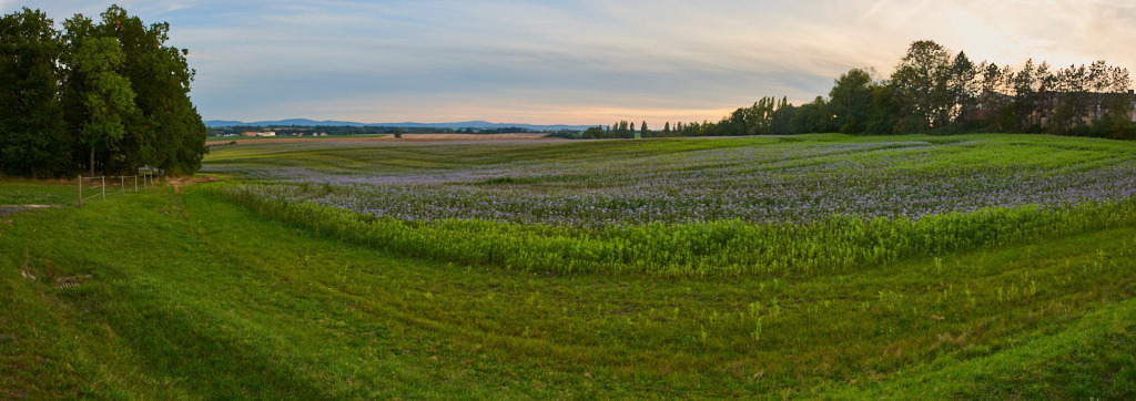 Blick von Storcha nach Dreikretscham 03 | Bedeutsame Landschaften Deutschlands - Realisiert mit Pictrs.com