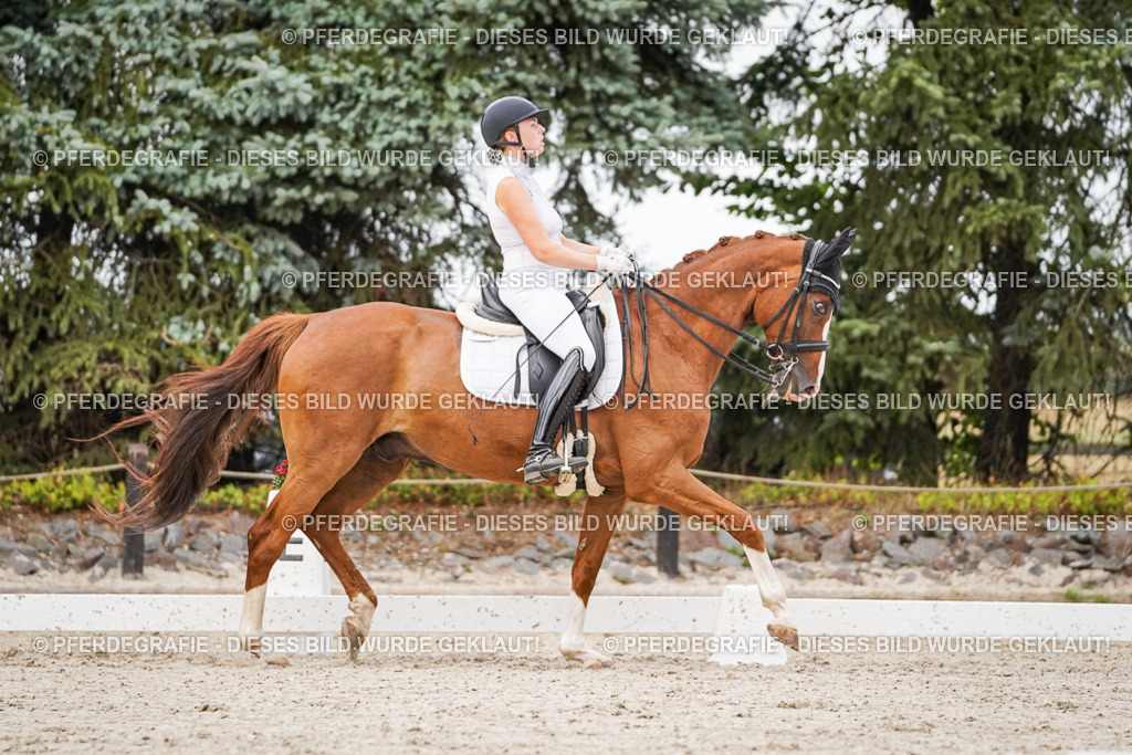 DSC08539 | Pferdegrafie