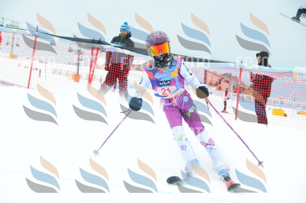 DSC_0779 | holidayphoto