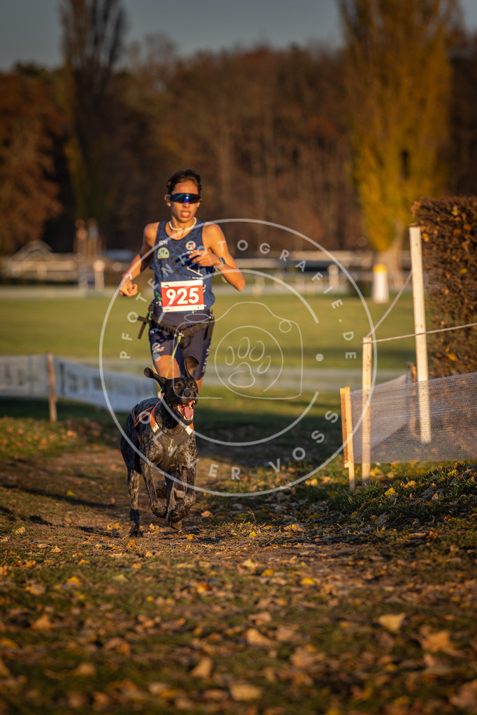 CaniXpix_DV3A5017 | Hundefotografie, Tierfotograf, Pfotenfotografie, Fotoshooting Hund, Hunde Portrait, Hundesport, Hundeportraits, Heideshooting, Hunde, Sportfotograf, Hundefotograf, Turnierhundsport, THS,  - Realisiert mit Pictrs.com