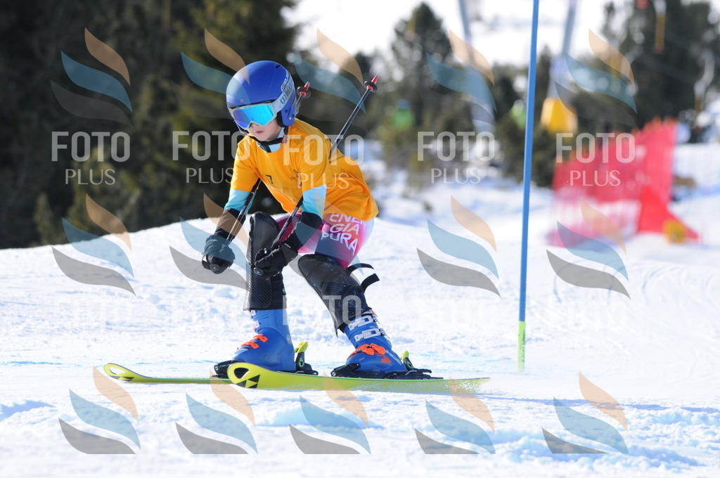 C6932 | holidayphoto