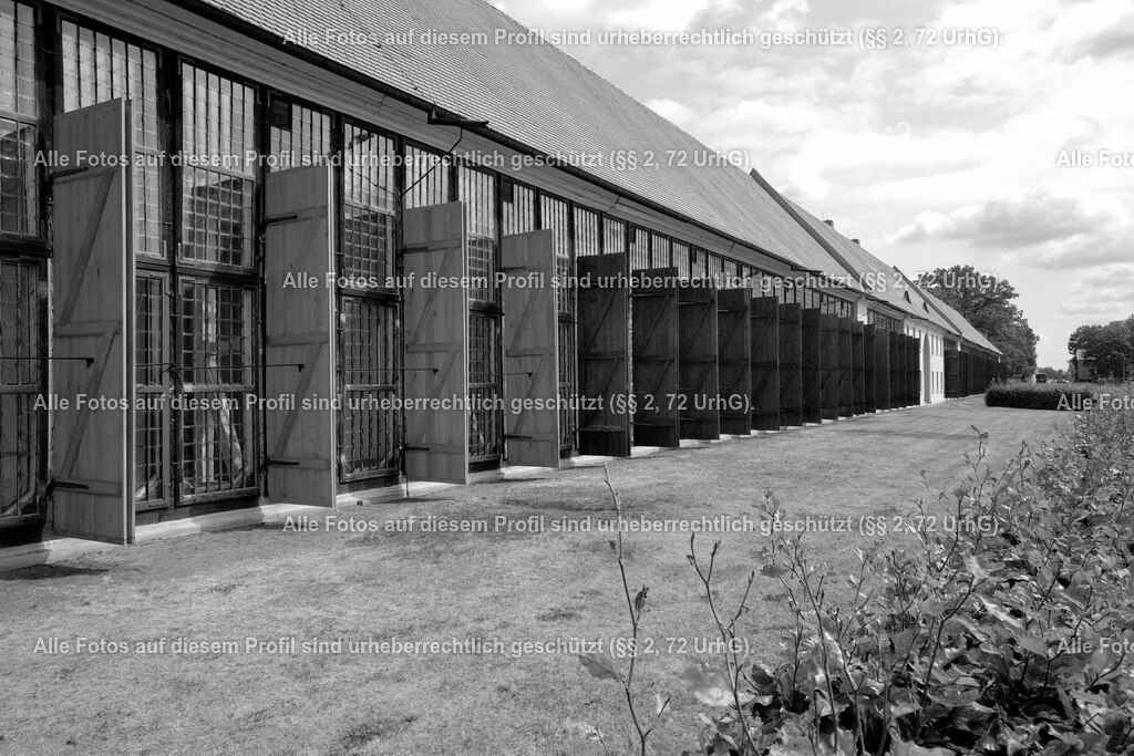 IMG_20180815_1206081 | krollfotografie - Realisiert mit Pictrs.com