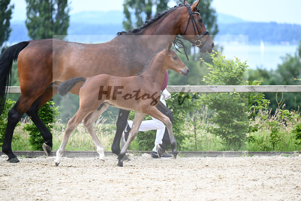 Comme il faut x Lyjaneiro_HF_Knott_19240354 | hf-fotografie - Realisiert mit Pictrs.com