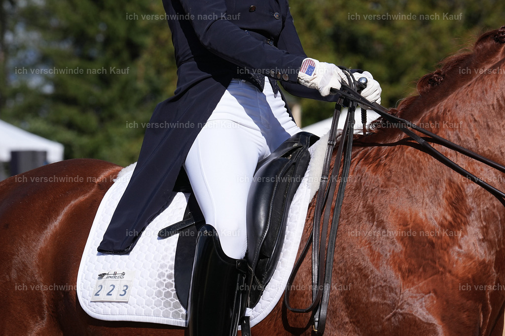 09_2-223-DRESSUR  S_  -Marixx-5948 | working equitationturnier fotograf videograf stoibphotography marixx film working equitation deutschland reitsport turnierfotografie eventfotografie equestrian events
