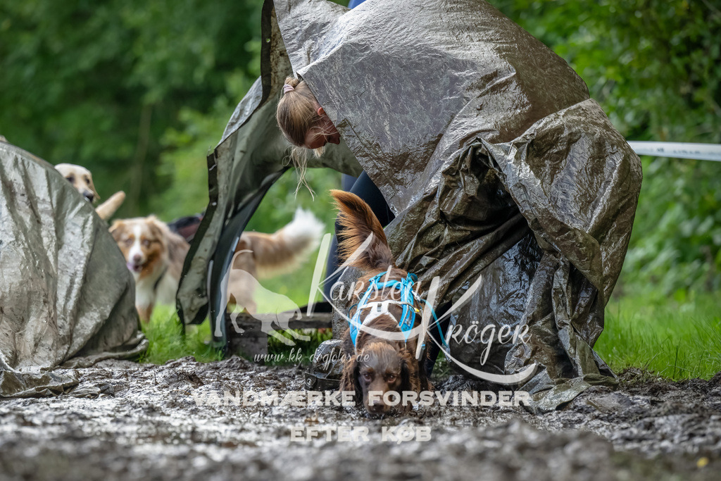 1143_ZZ94055-Bearbeitet | kk-dogfotos