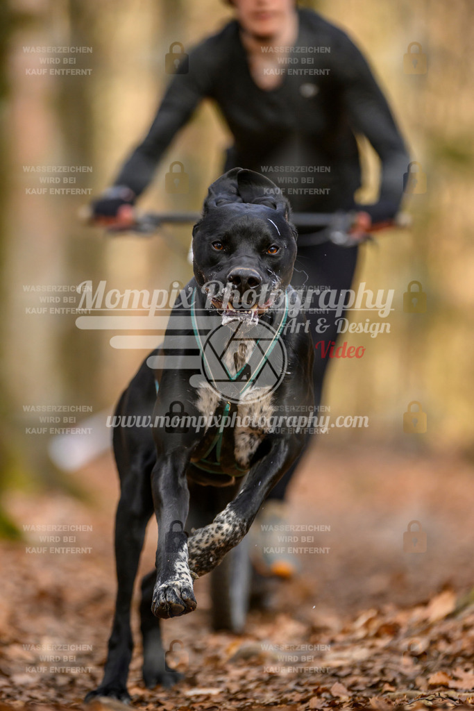 MompixPhotography_Habay2025_SA_SCO-39 | PayLife