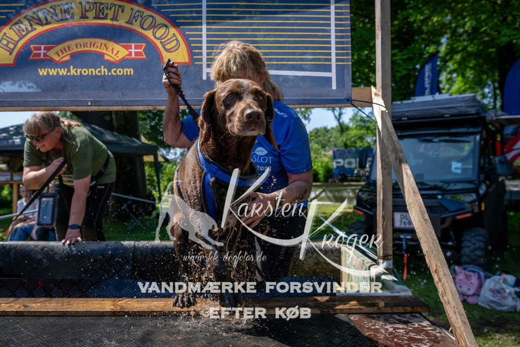 1223_ZZ90957 | kk-dogfotos