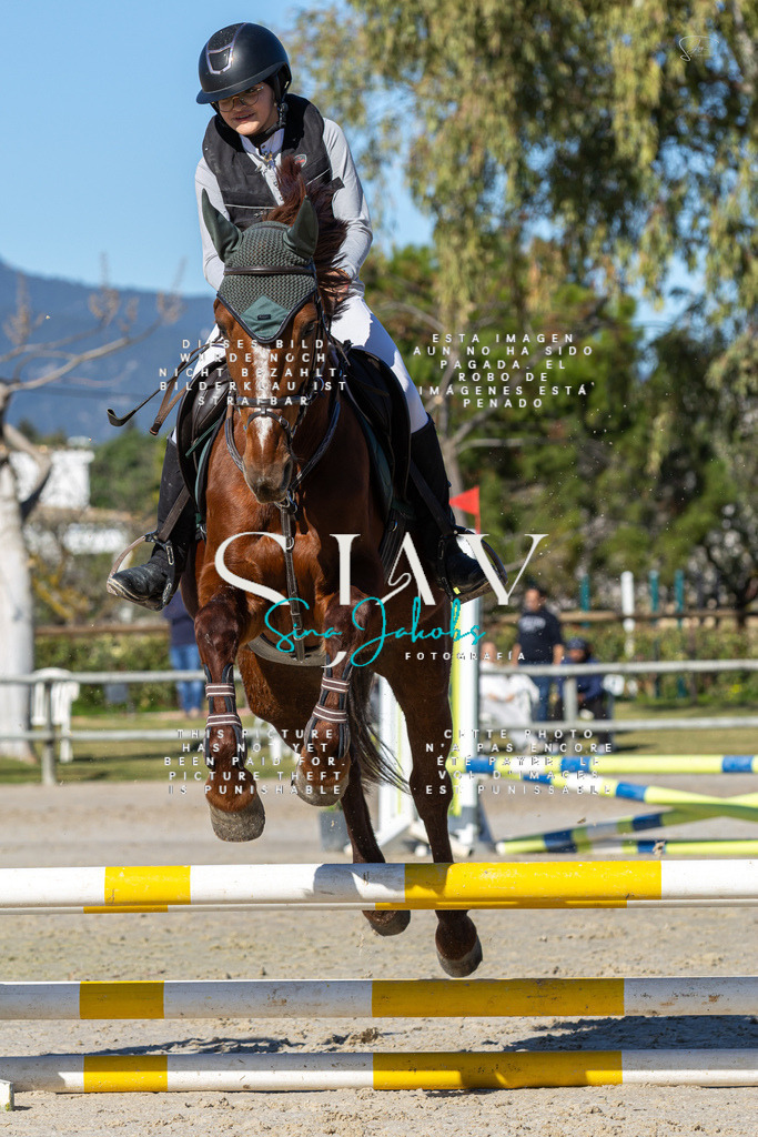 IMG_8425 | s-jay-photography - Realisiert mit Pictrs.com