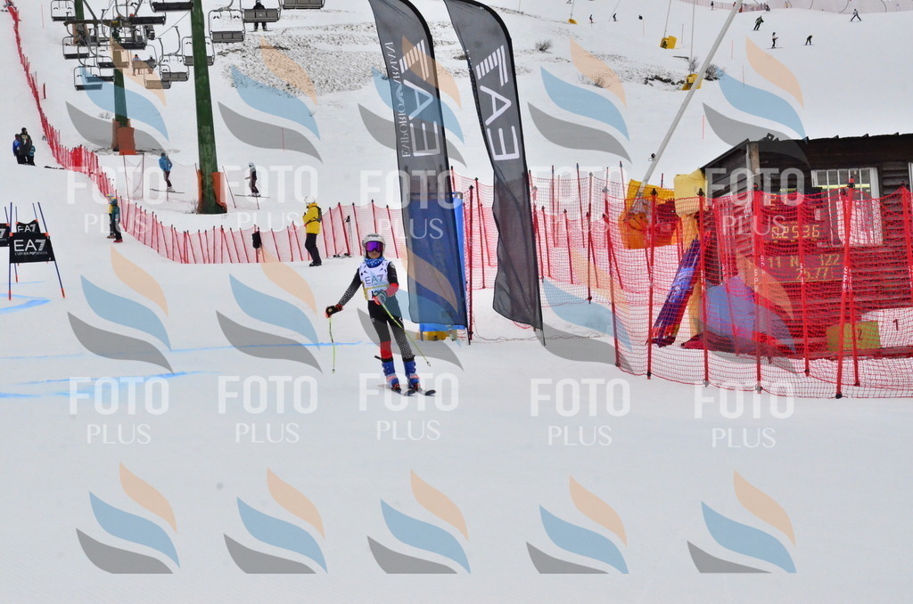 _ELE3650 | holidayphoto