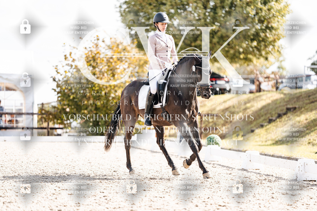 CK901985 | Turnierfotografie Pferdefotografie Trier Rheinland-Pfalz Pferdesport Reitsport Tierfotografie Sportfotografie Pferdevideo Pferdevideografie Equestrianvideography equestrianphotography  - Realisiert mit Pictrs.com