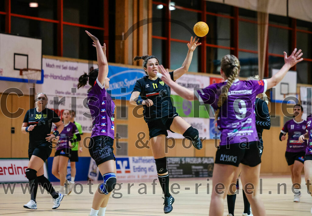 2023-12-17_077_SpVgg_Altenerding_II_gegen_HF_Scheyern | Erding, Deutschland, 17.12.2023:
Handball, Bezirksliga Frauen Altbayern 2023 / 2024, 9. Spieltag, SpVgg Altenerding II gegen HF Scheyern, Endergebnis: 22:26

Grit Kschischow (SpVgg Altenerding, #2), Lieselotte Landskron (HF Scheyern, #11), Elisabeth Bauschmid (SpVgg Altenerding, #9)

Foto: Christian Riedel / fotografie-riedel.net
