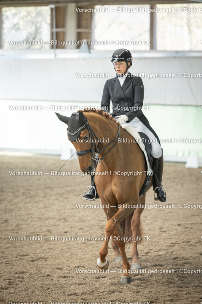 _D5A4584 | Emotionale Pferde- & People-Fotografie rund um Heidelberg, Leimen & Umgebung. Natürliche Fotos von Pferd, Mensch & Familie. Jetzt Termin sichern!