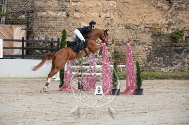 2B4A1466 | pixelfaenger - Realisiert mit Pictrs.com