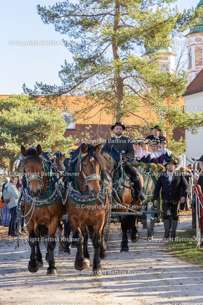 LBT25-1034 | foto-bettina-krinner - Realisiert mit Pictrs.com