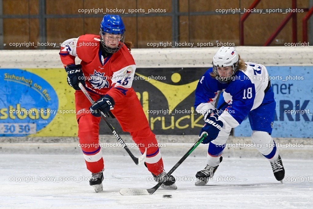 BST_5639 | hockey sports photos, Pressefotos, Sportfotos, hockey247, win 2day icehockeyleague, Handball Austria, Floorball Austria, ÖVV, Kärntner Eishockeyverband, KEHV, KFV, Kärntner Fussballverband, Österreichischer Volleyballverband, Alps Hockey League, ÖFB, 