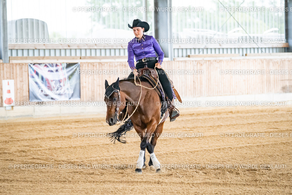 DSC06140 | Pferdegrafie